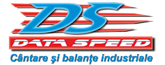 Data Speed logo
