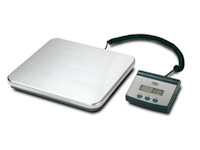 Platforma cantarire single point - Dini Argeo M50K100